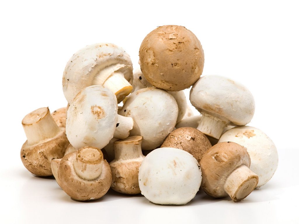 champinones_receta_beneficios