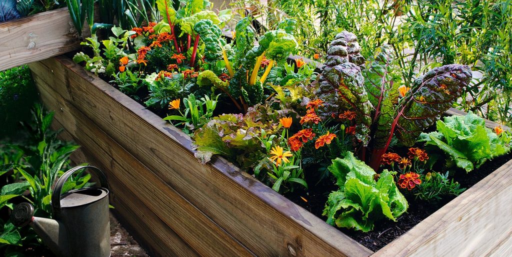 un-huerto-en-casa_1280x644_353b86af